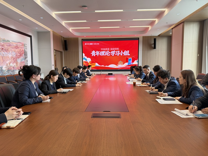 03 青心向党·思想铸魂——公司团委召开五四专题青年理论学习小组会议 - 副本.jpg